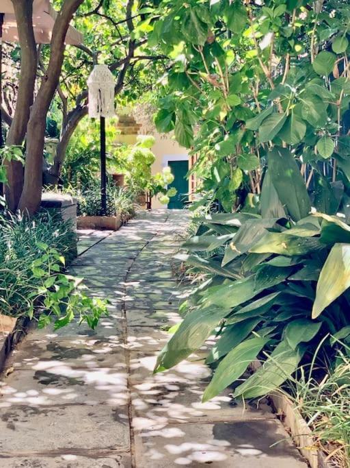 דירות מונטרוסו אל מארה Casa Adele מראה חיצוני תמונה