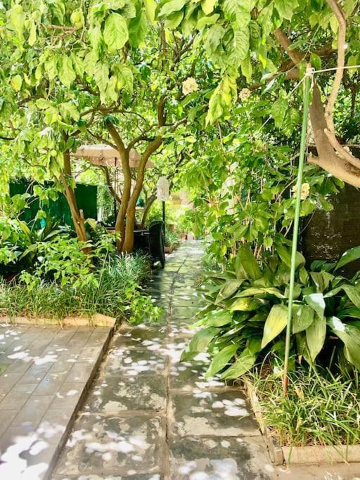 דירות מונטרוסו אל מארה Casa Adele מראה חיצוני תמונה