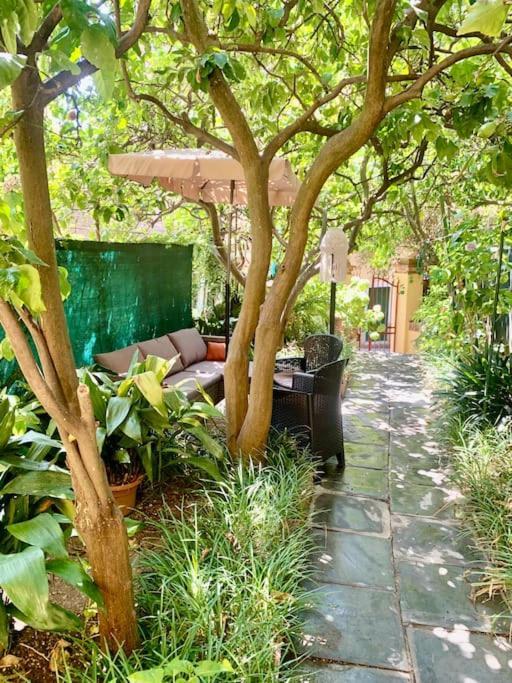 דירות מונטרוסו אל מארה Casa Adele מראה חיצוני תמונה